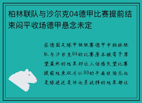 柏林联队与沙尔克04德甲比赛提前结束闷平收场德甲悬念未定