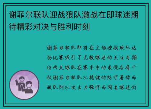 谢菲尔联队迎战狼队激战在即球迷期待精彩对决与胜利时刻