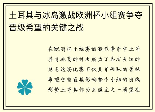 土耳其与冰岛激战欧洲杯小组赛争夺晋级希望的关键之战