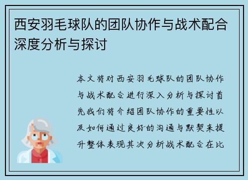 西安羽毛球队的团队协作与战术配合深度分析与探讨