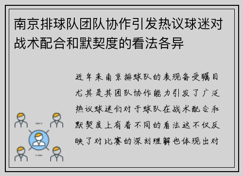 南京排球队团队协作引发热议球迷对战术配合和默契度的看法各异