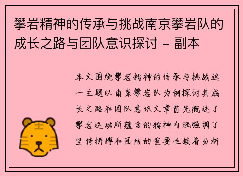 攀岩精神的传承与挑战南京攀岩队的成长之路与团队意识探讨 - 副本